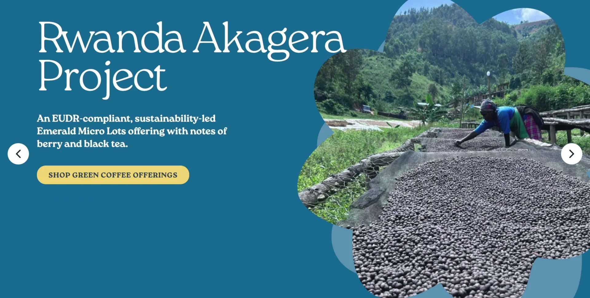 Unpacking-Coffee-podcast-cameras