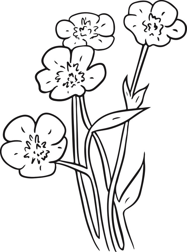 flower illustration we created for flowers