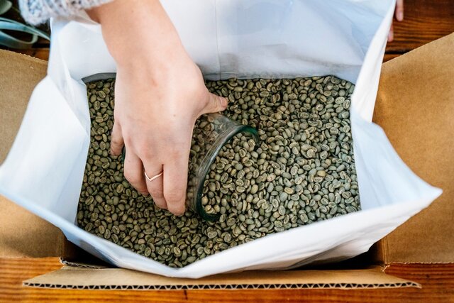 green coffee beans