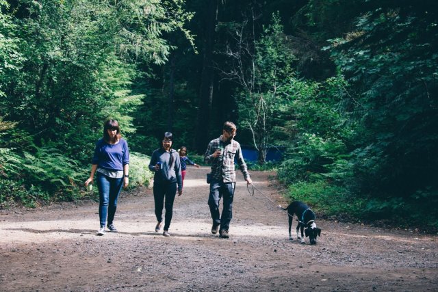 needmore-camping-walk