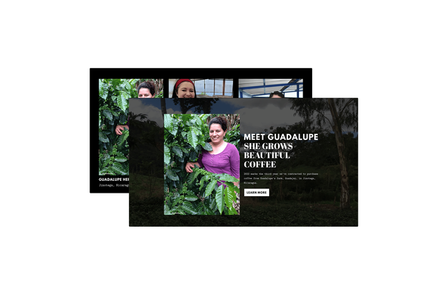 Producers on website