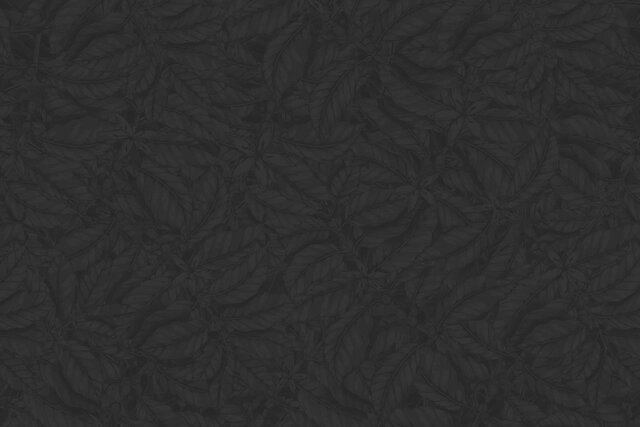 Illustrative pattern of coffee leaves
