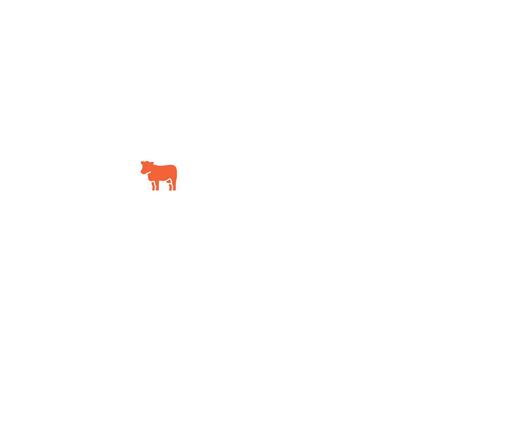 cow illustration