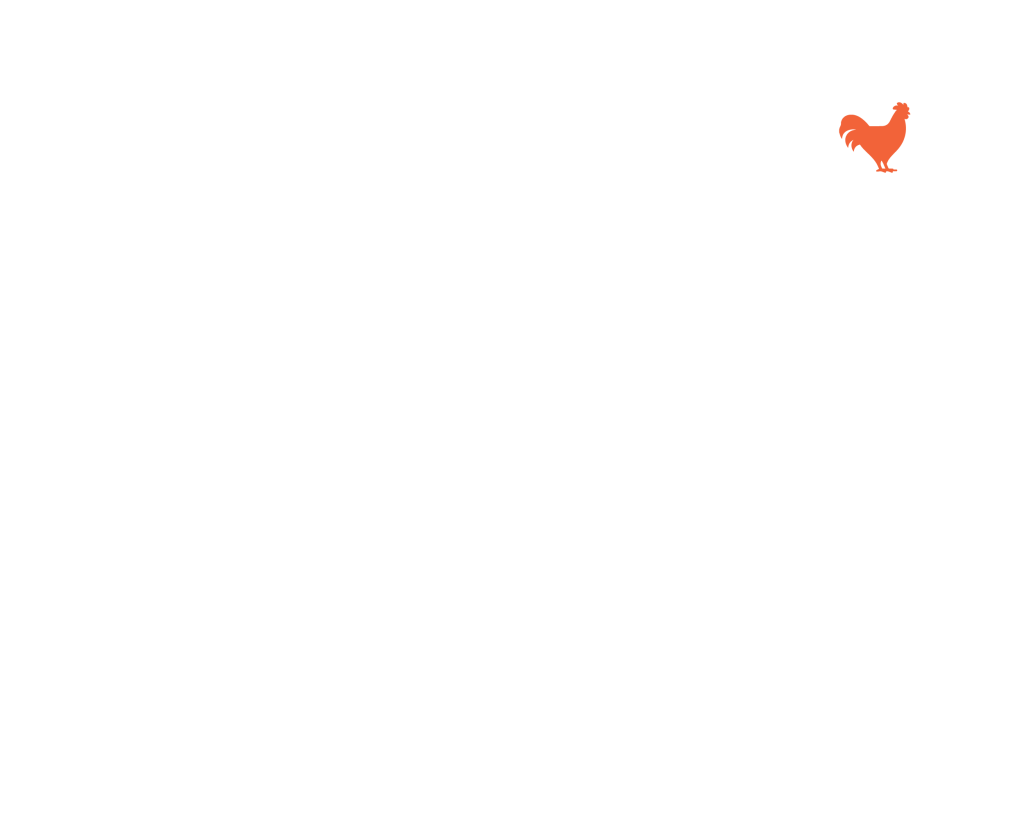 rooster illustration