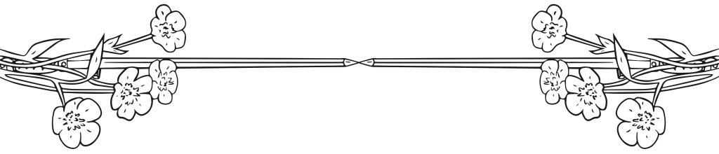 illustration of swords and flowers we created for Guilder
