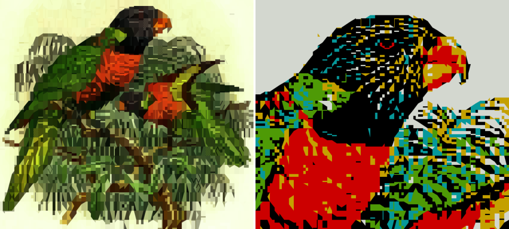 Blue headed lory legacy samples 1