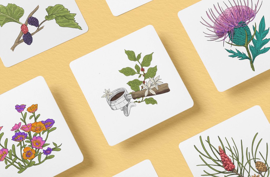 Materia prima illustrations