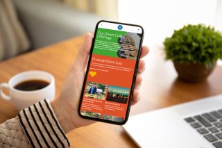 The Green Coffee offerings page on mobile, featuring Emerald Micro Lots