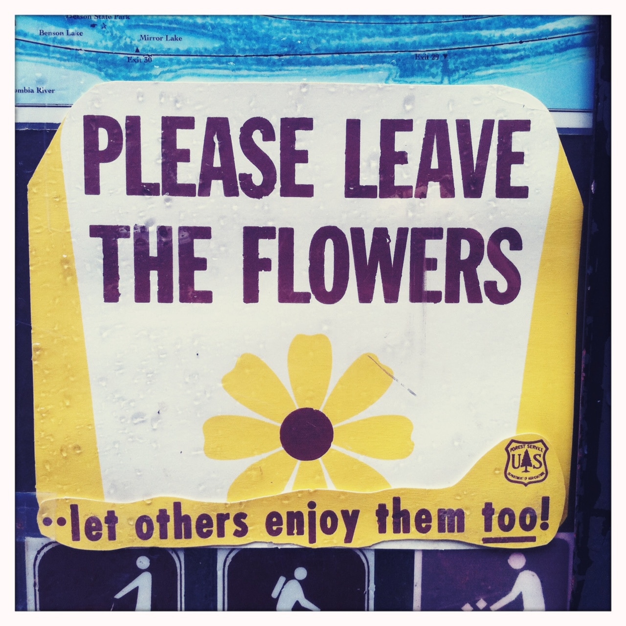 Please Leave the Flowers