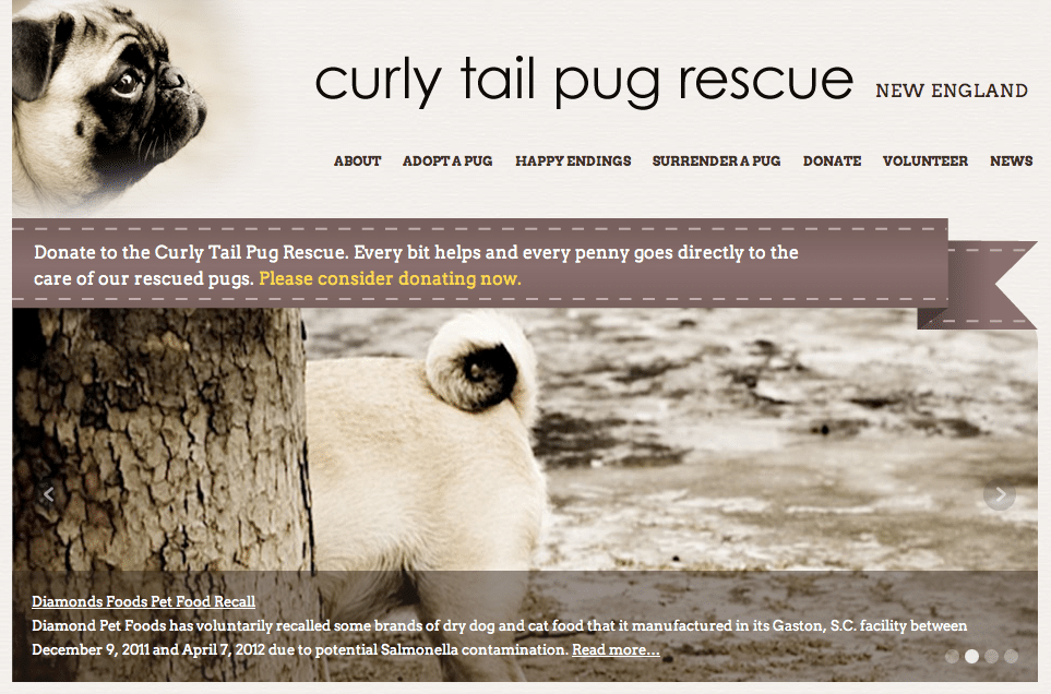 Needmore Designs for Curly Tail Pug Rescue