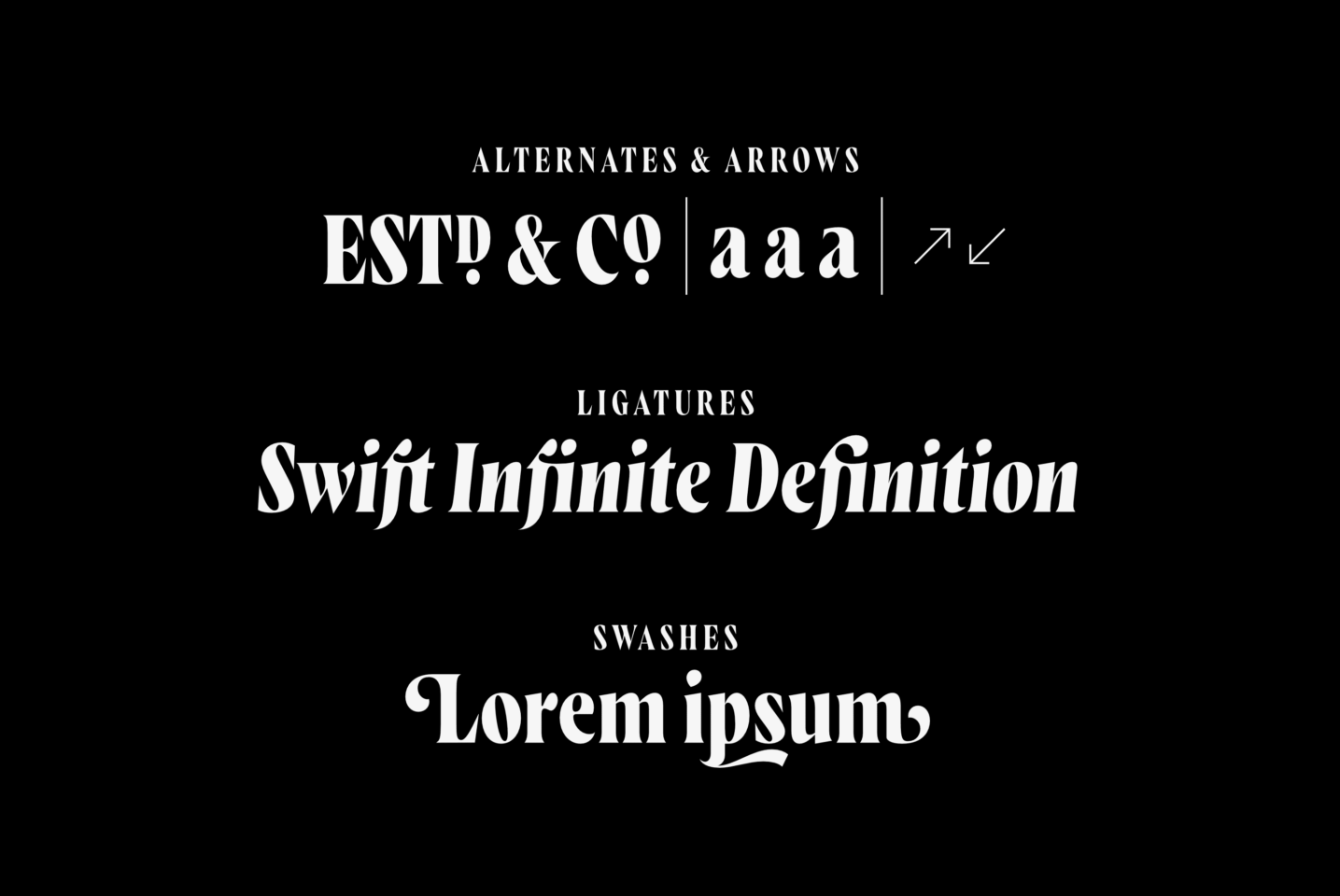 Examples of alternates, ligatures, and swashes in the Wayfinder font.
